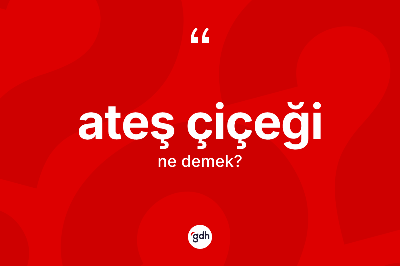 Ateş çiçeği ne demek?