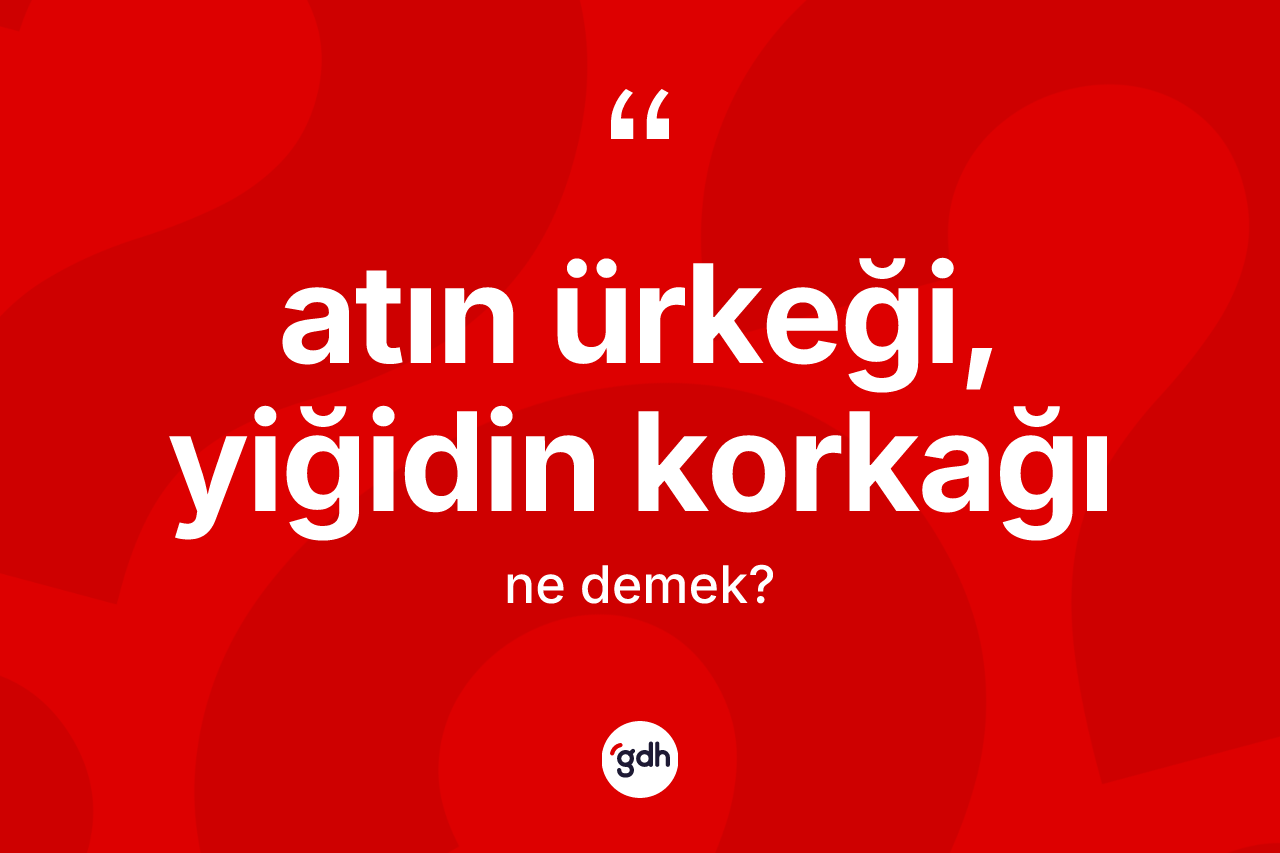 Atın ürkeği, yiğidin korkağı nedir?