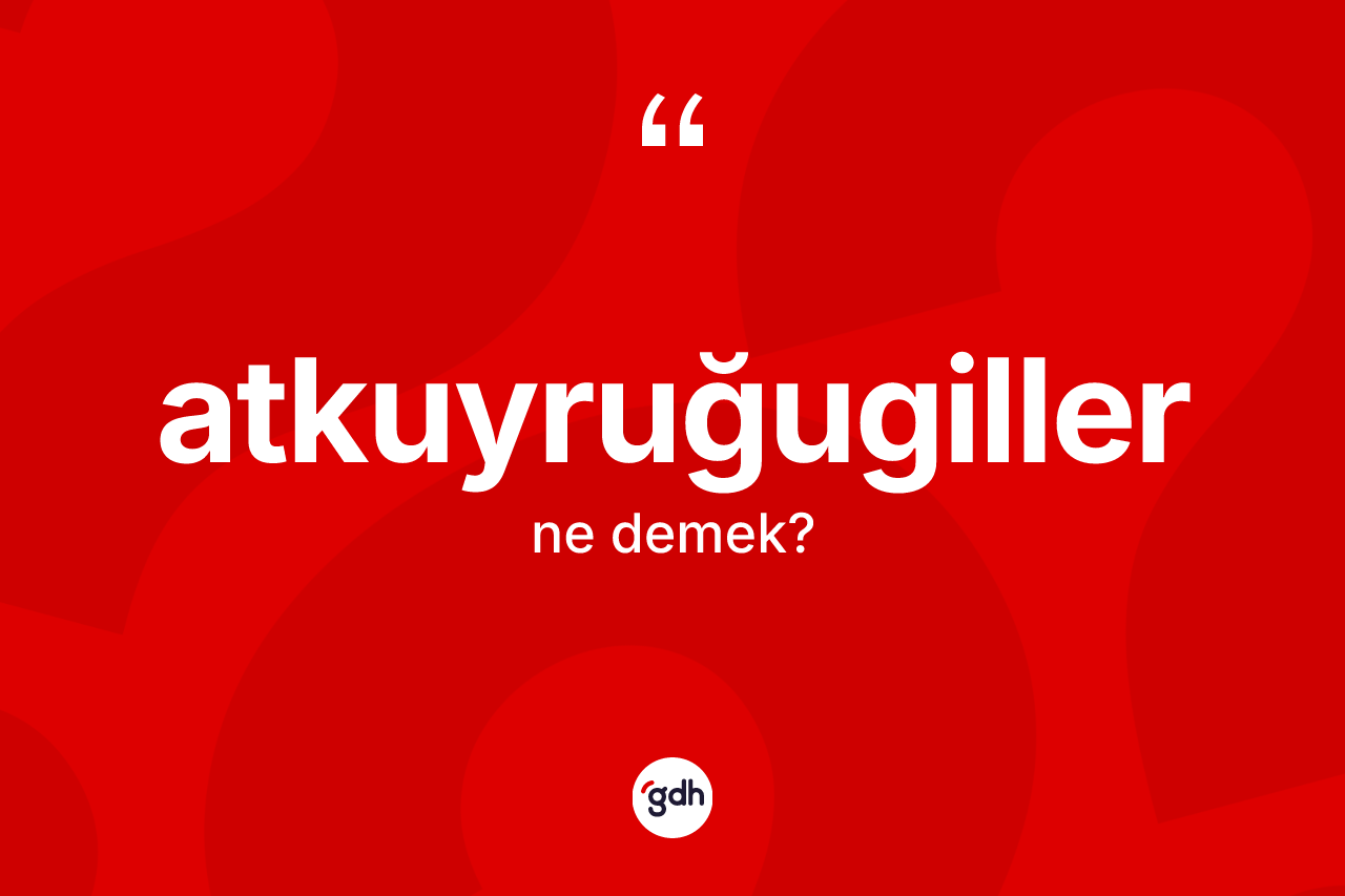 Atkuyruğugiller nedir? Atkuyruğugiller kelimesinin TDK'ya göre açıklaması nedir?