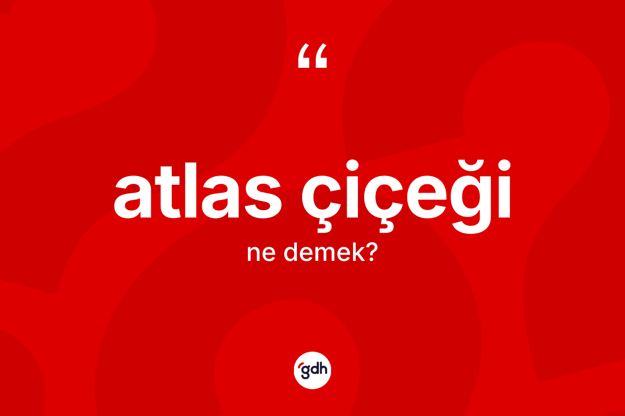 Atlas çiçeği kelimesinin sözlükteki tanımı nedir?