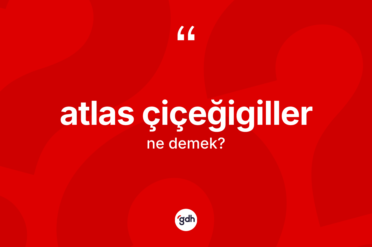 Atlas çiçeğigiller kelimesi nedir?