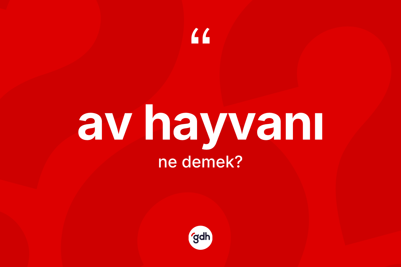 Av hayvanı kelimesinin tanımı nedir?