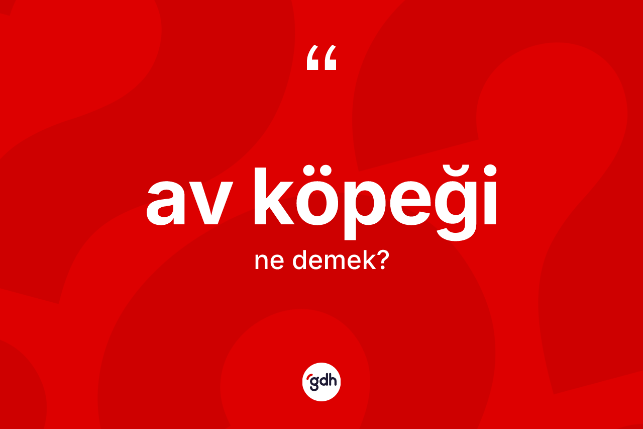 Av köpeği kelimesinin tanımı nedir?