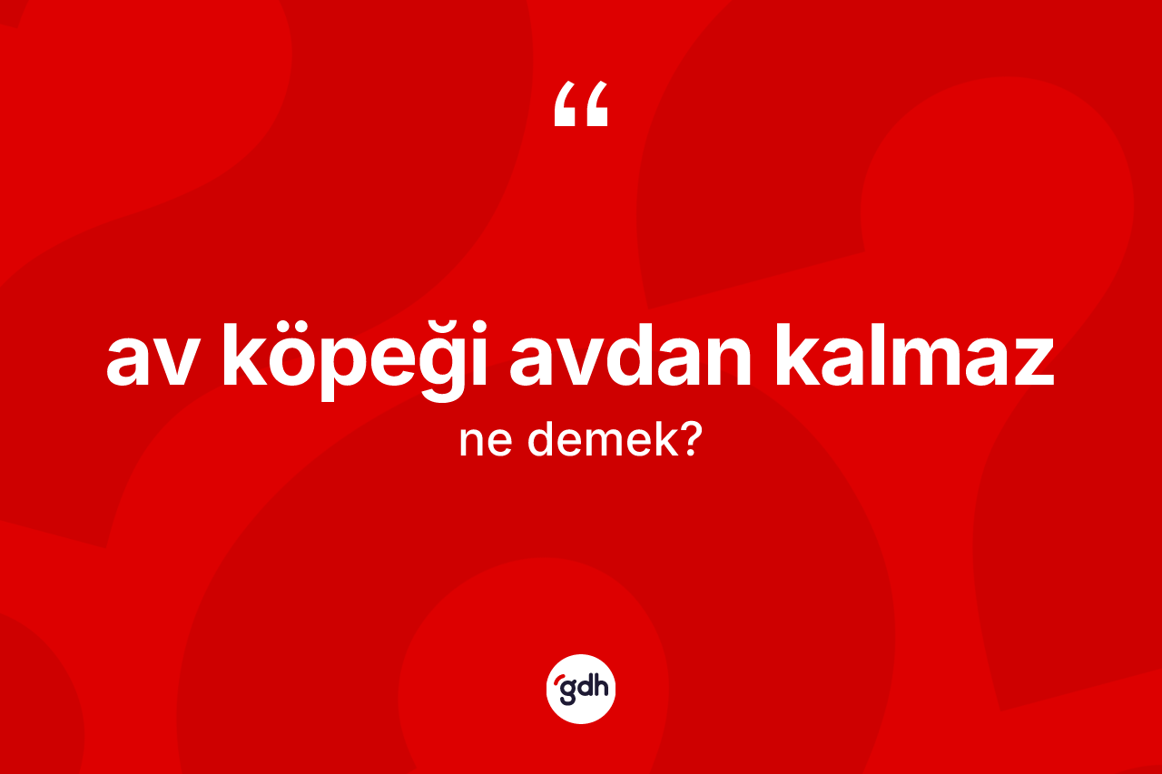Av köpeği avdan kalmaz ifadesinin sözlükteki anlamı nedir?