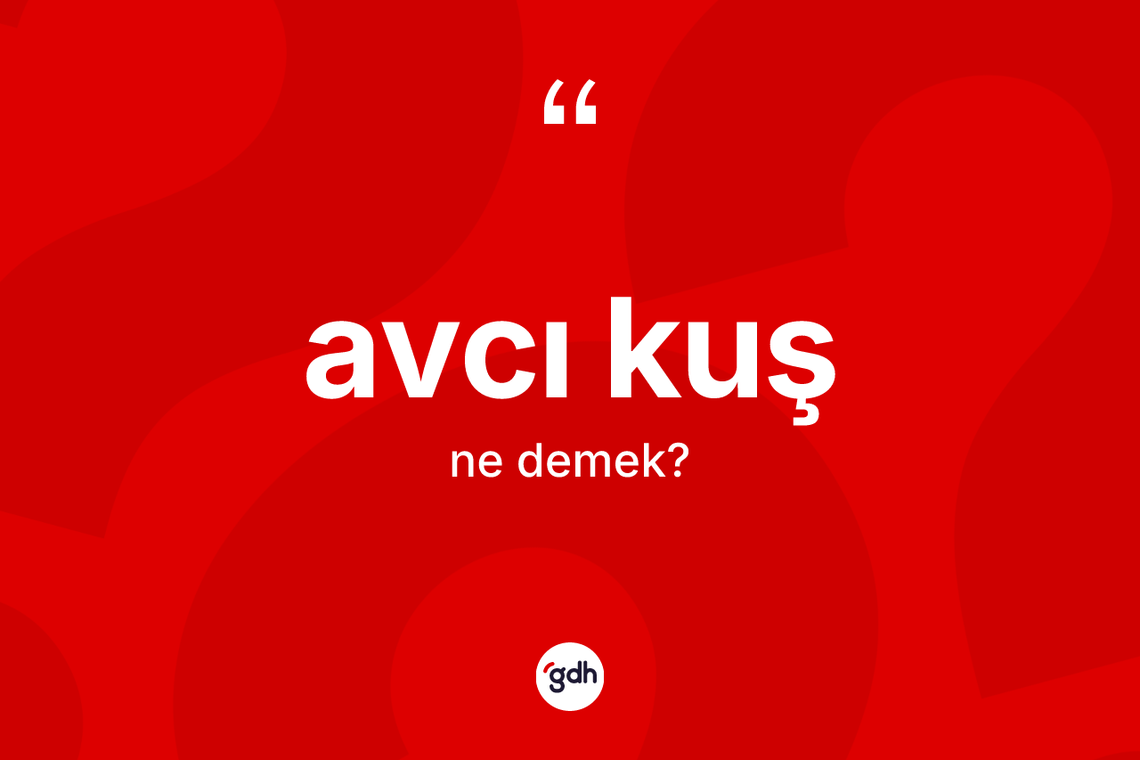 Avcı kuş ne anlama gelir?