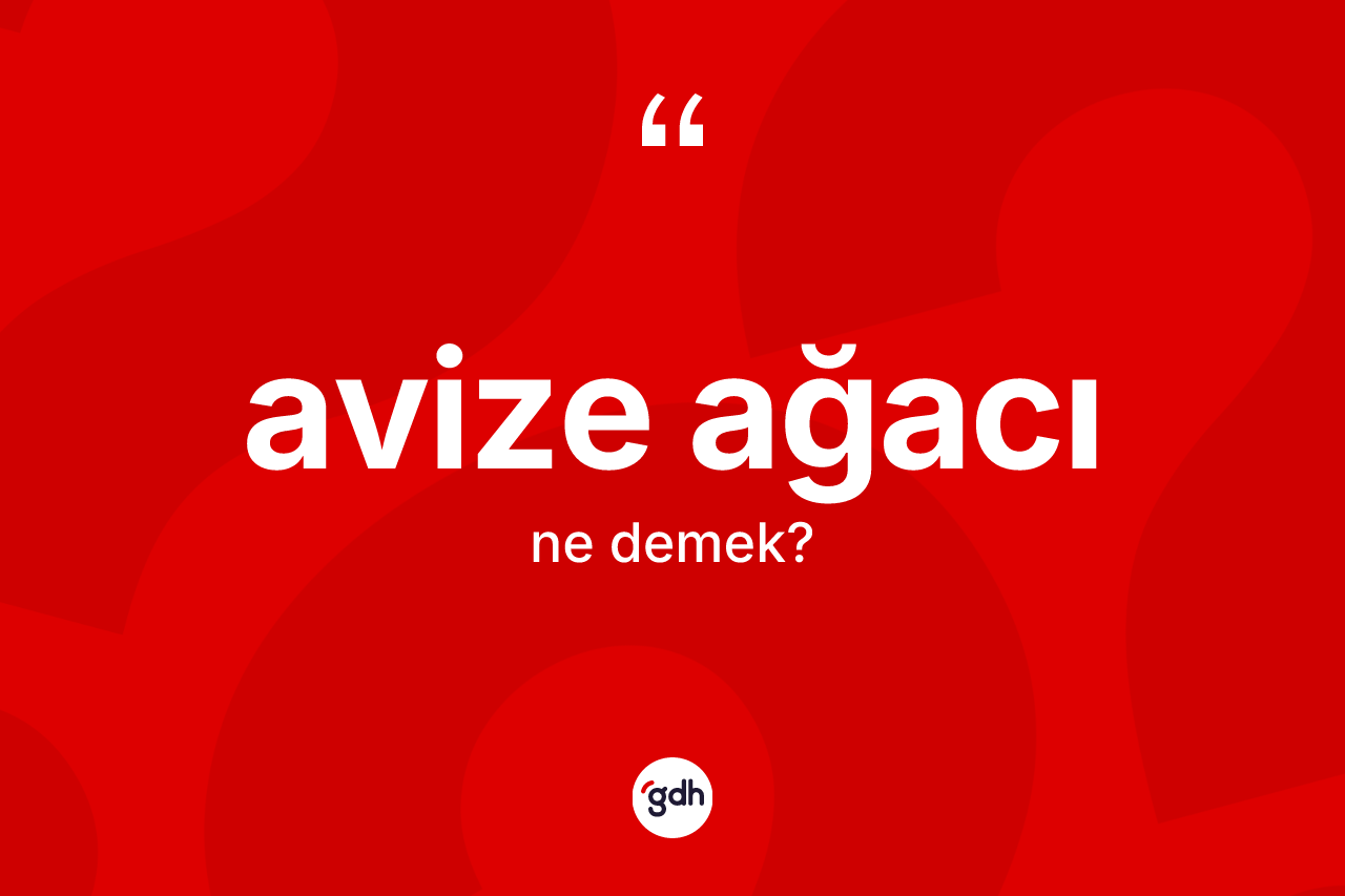 Avize ağacı kelimesinin tanımı nedir?