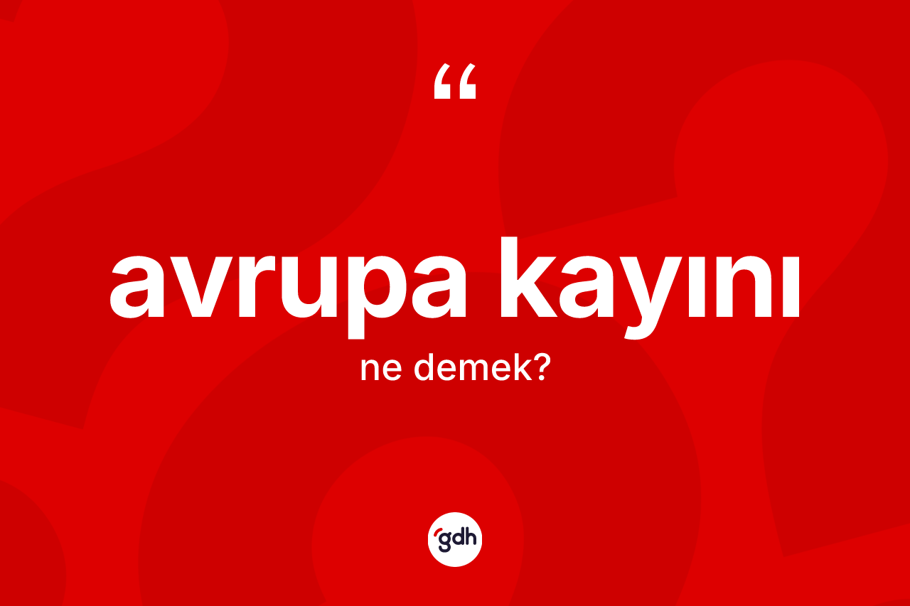 Avrupa kayını nedir?