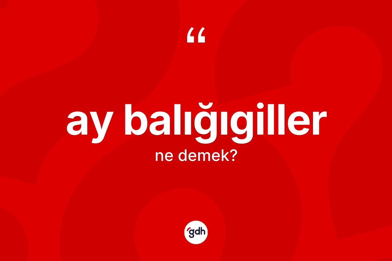Ay balığıgiller ne anlama gelir?