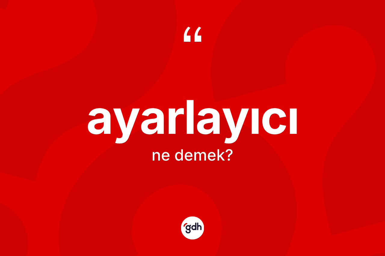 Ayarlayıcı kelimesinin sözlükteki tanımı nedir?