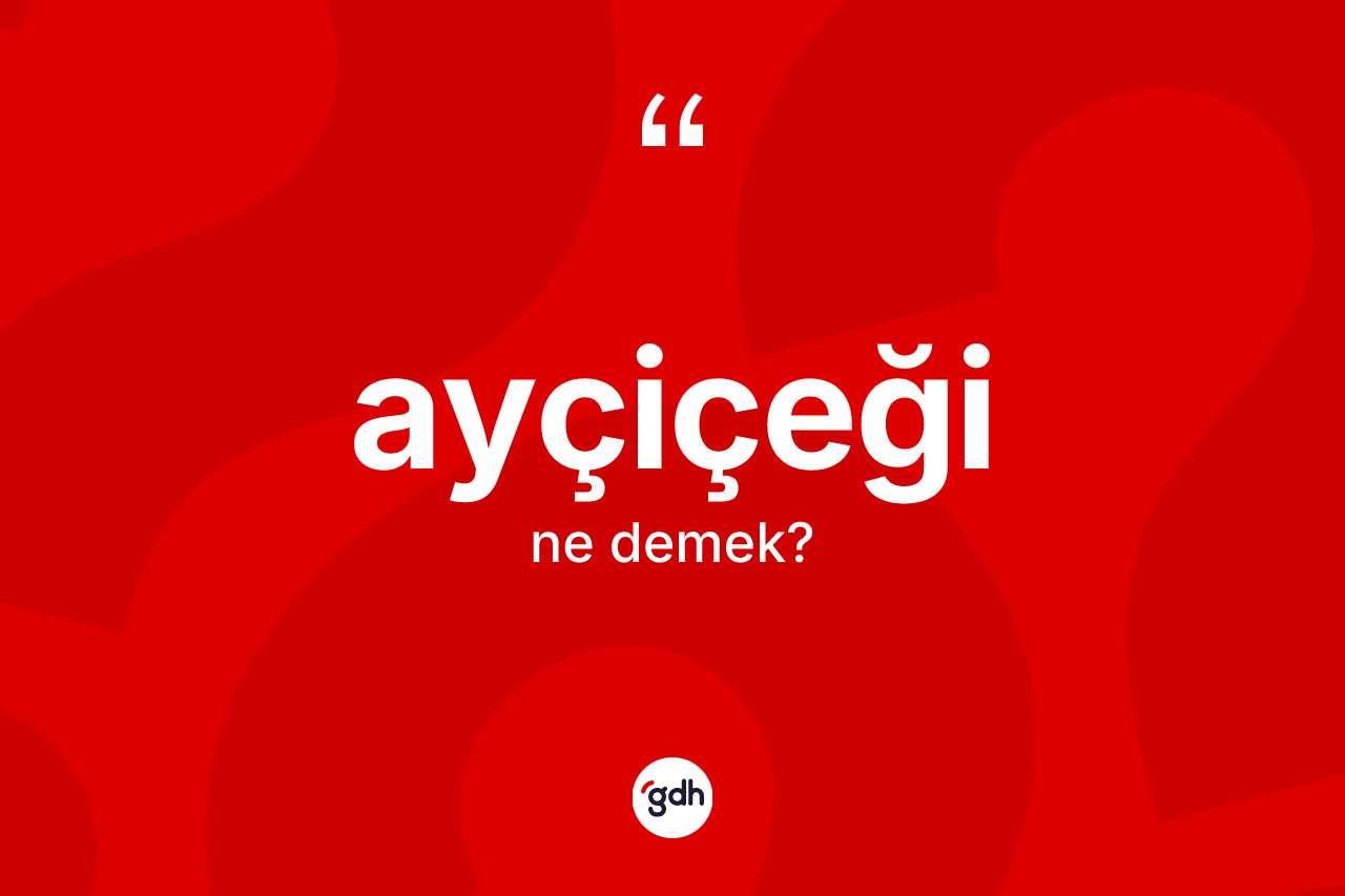 Ayçiçeği ne demek?
