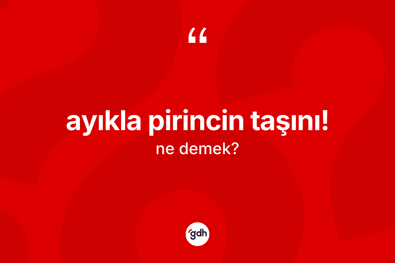 Ayıkla pirincin taşını! ifadesi neyi anlatır?