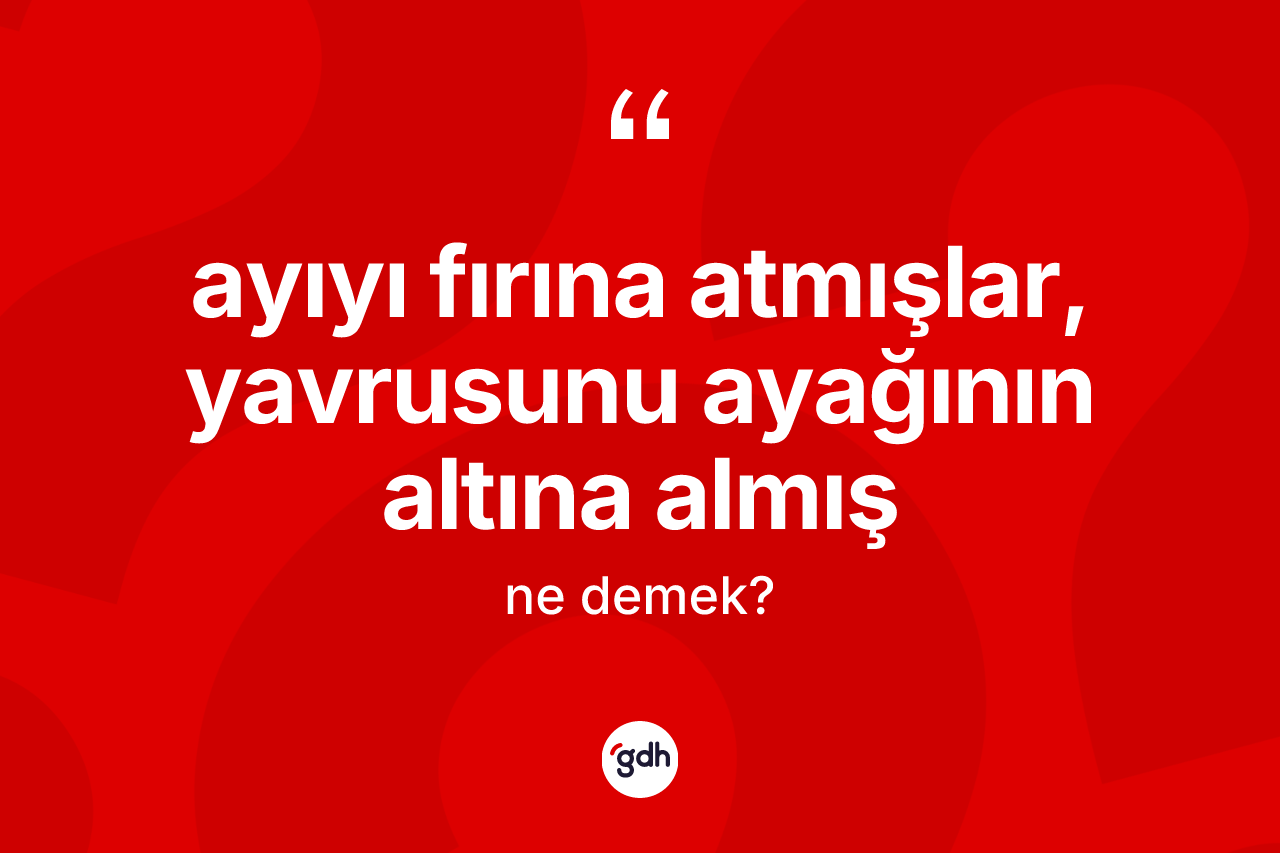 Ayıyı fırına atmışlar, yavrusunu ayağının altına almış ifadesinin sözlükteki anlamı nedir?