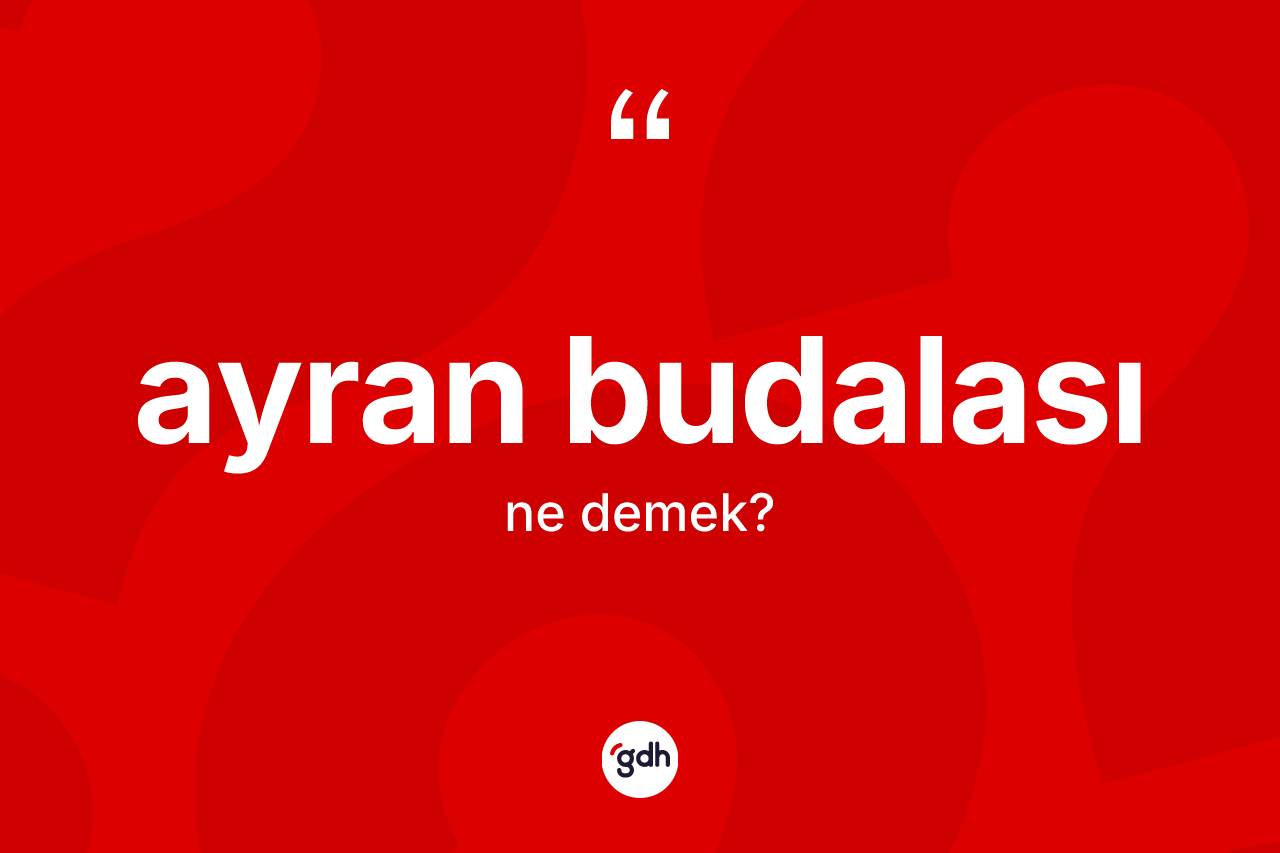 Ayran budalası nedir?