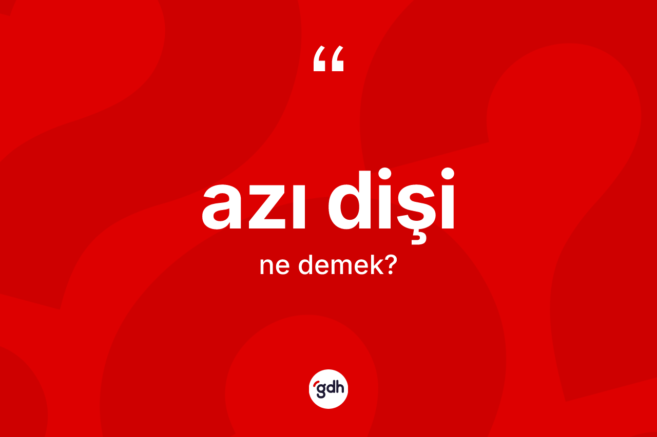 Azı dişi ne demek?