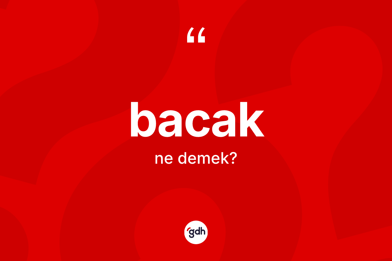 Bacak kelimesi nedir?