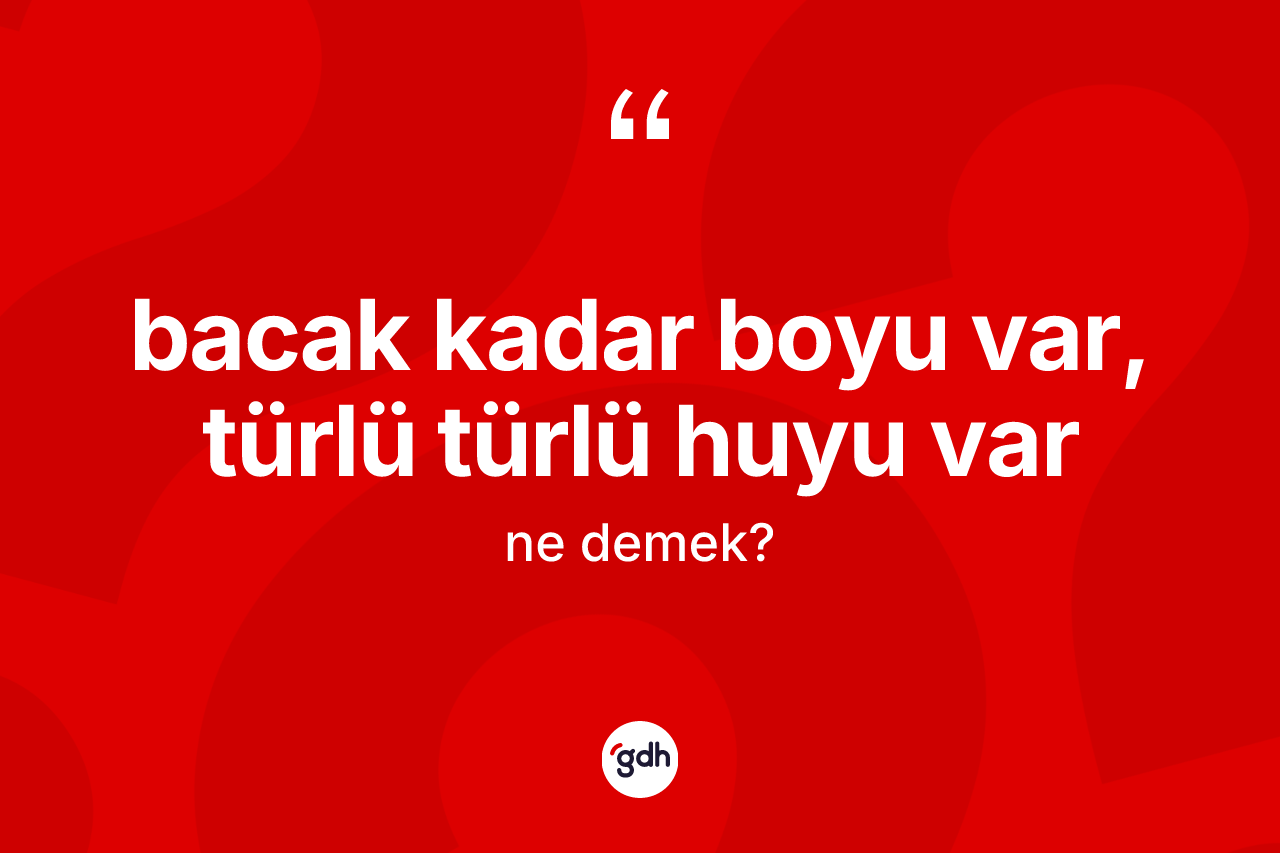 Bacak kadar boyu var, türlü türlü huyu var ifadesi ne demek? Bacak kadar boyu var, türlü türlü huyu var ifadesi nerede kullanılır?