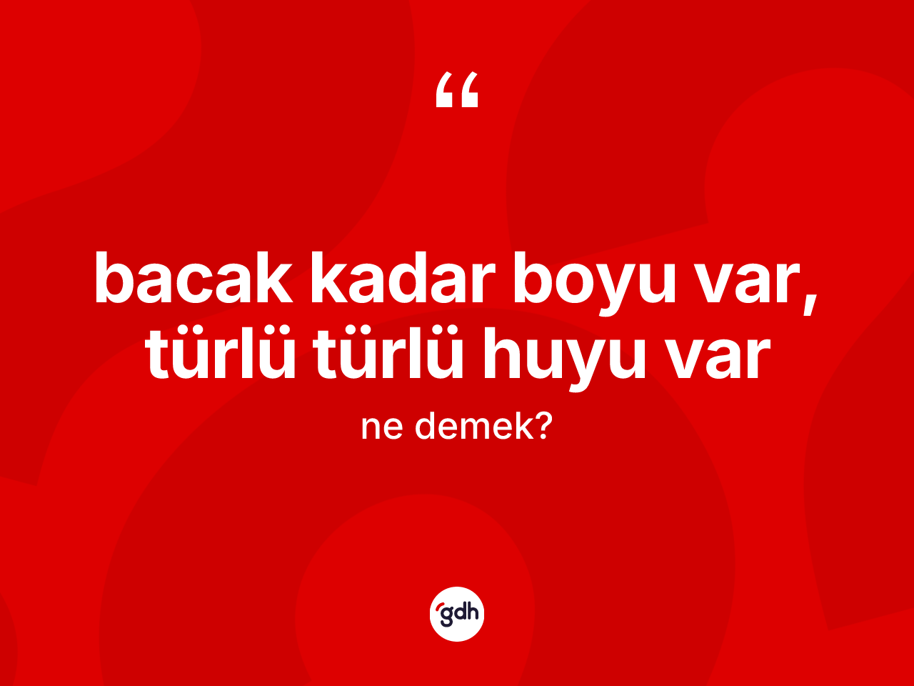 Bacak kadar boyu var, türlü türlü huyu var ifadesi ne demek? Bacak kadar boyu var, türlü türlü huyu var ifadesi nerede kullanılır?