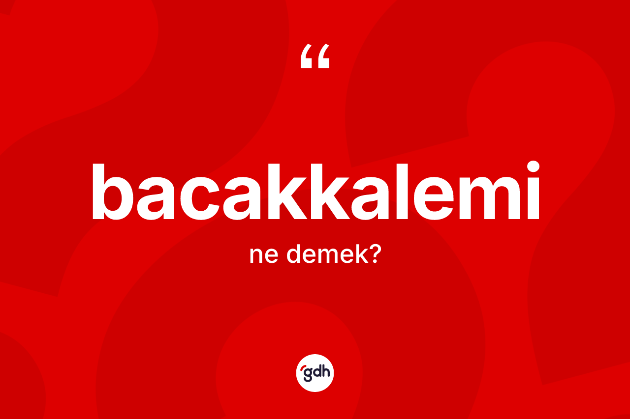 Bacakkalemi kelimesinin sözlükteki tanımı nedir?
