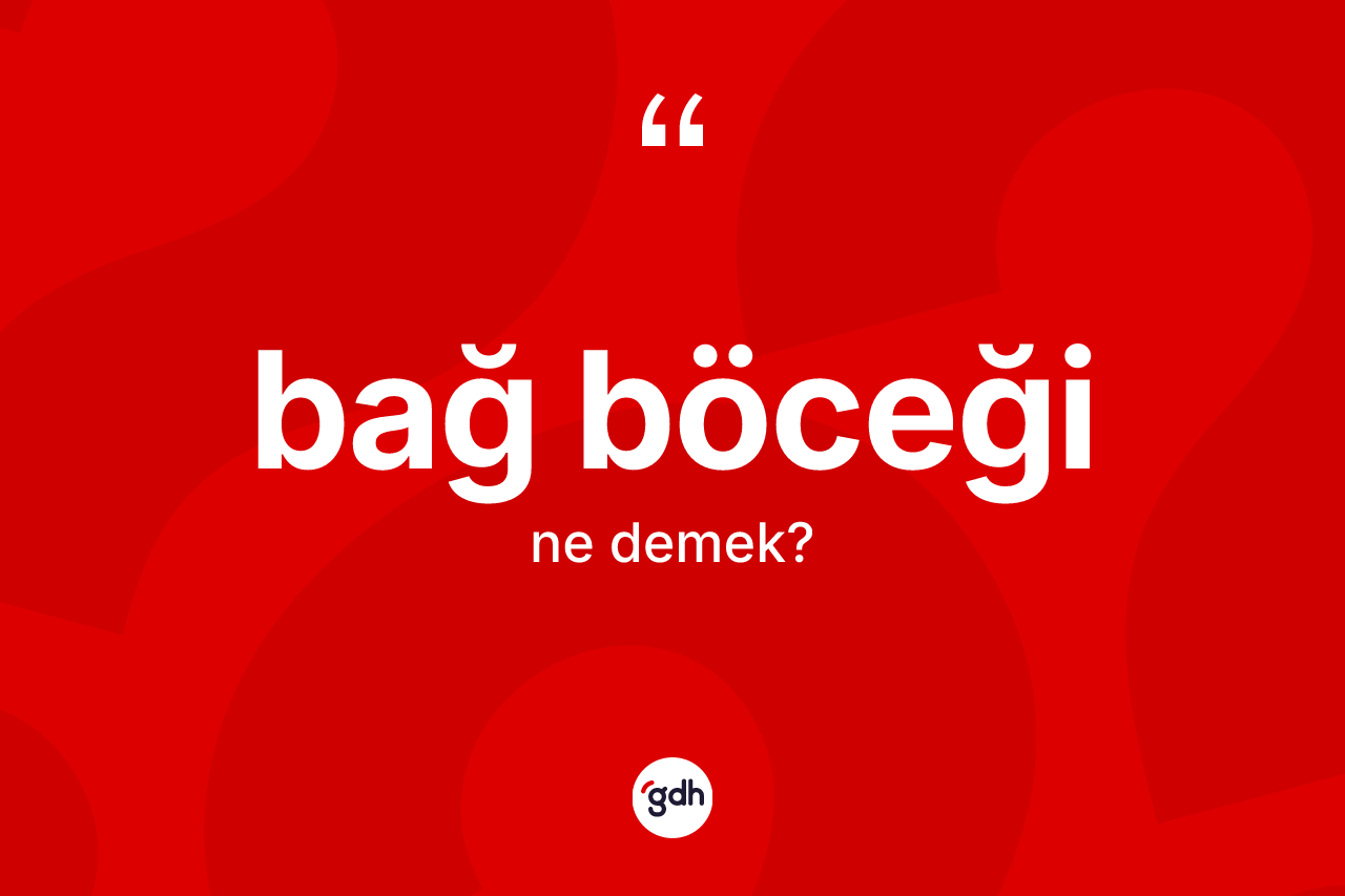 Bağ böceği kelimesinin anlamı nedir?
