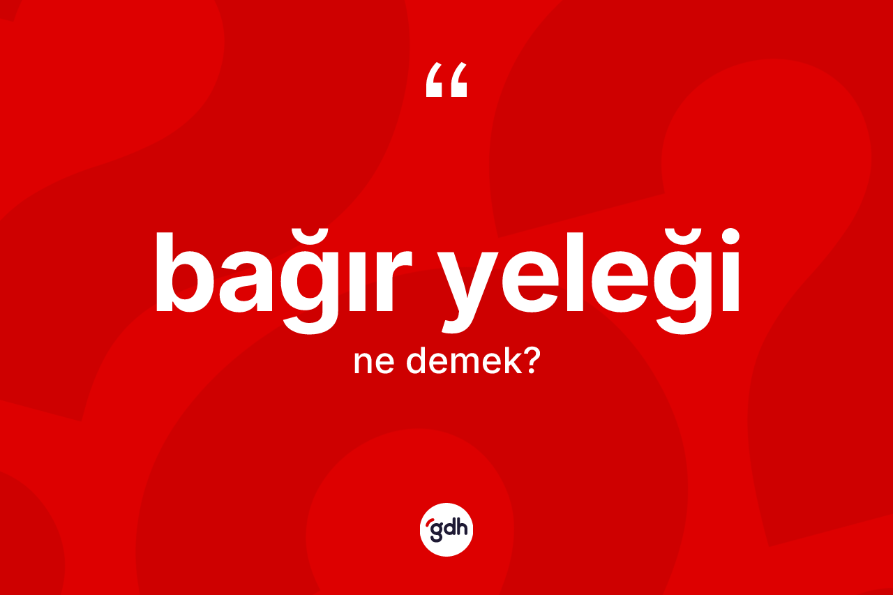 Bağır yeleği kelimesinin sözlükteki tanımı nedir? Bağır yeleğinin halk arasındaki kullanımı nasıldır?