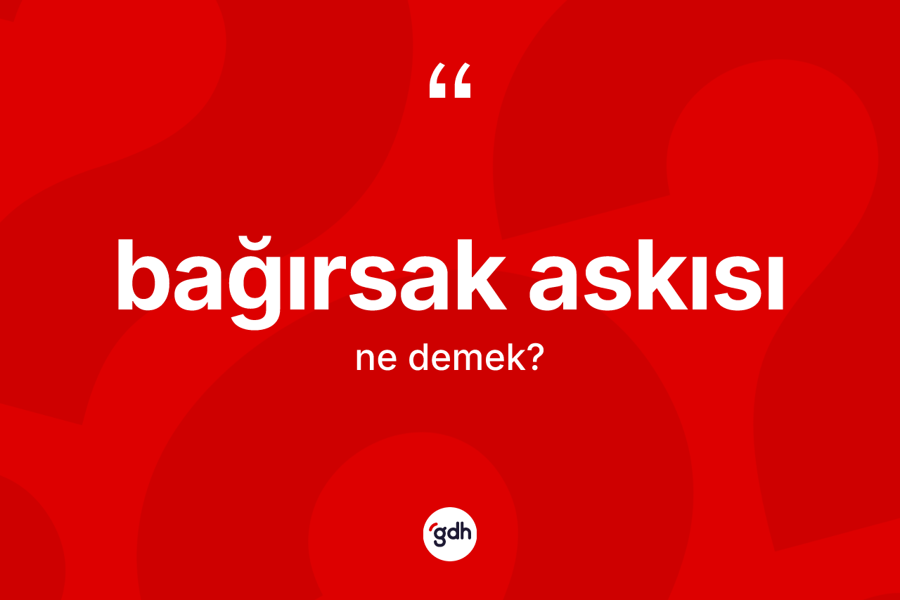 Bağırsak askısı kelimesinin sözlükteki tanımı nedir?