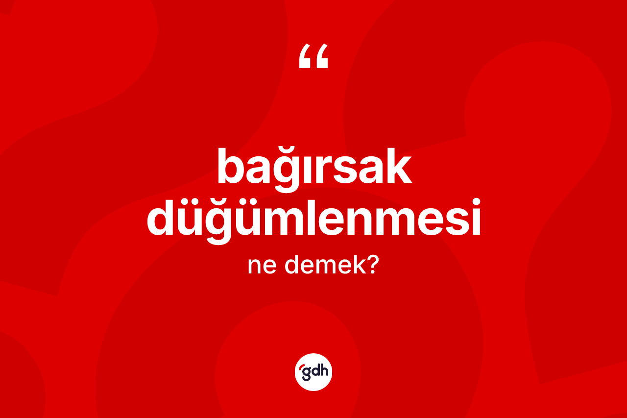 Bağırsak düğümlenmesi kelimesi nedir?