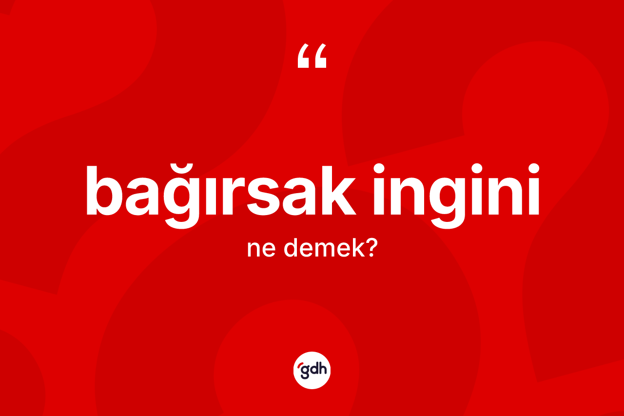 Bağırsak ingini kelimesi ne demek?