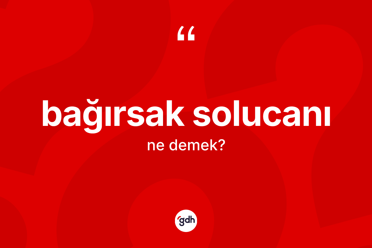 Bağırsak solucanı kelimesi nedir?