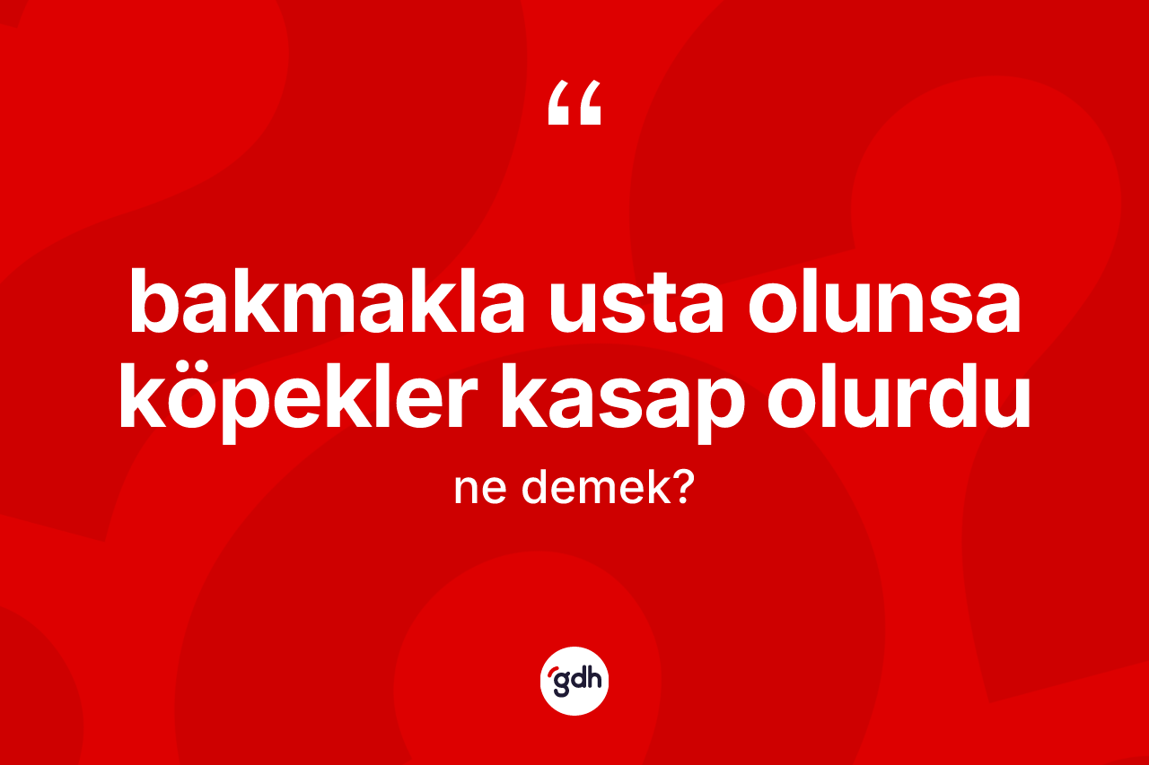 Bakmakla usta olunsa köpekler kasap olurdu ne anlama gelir?