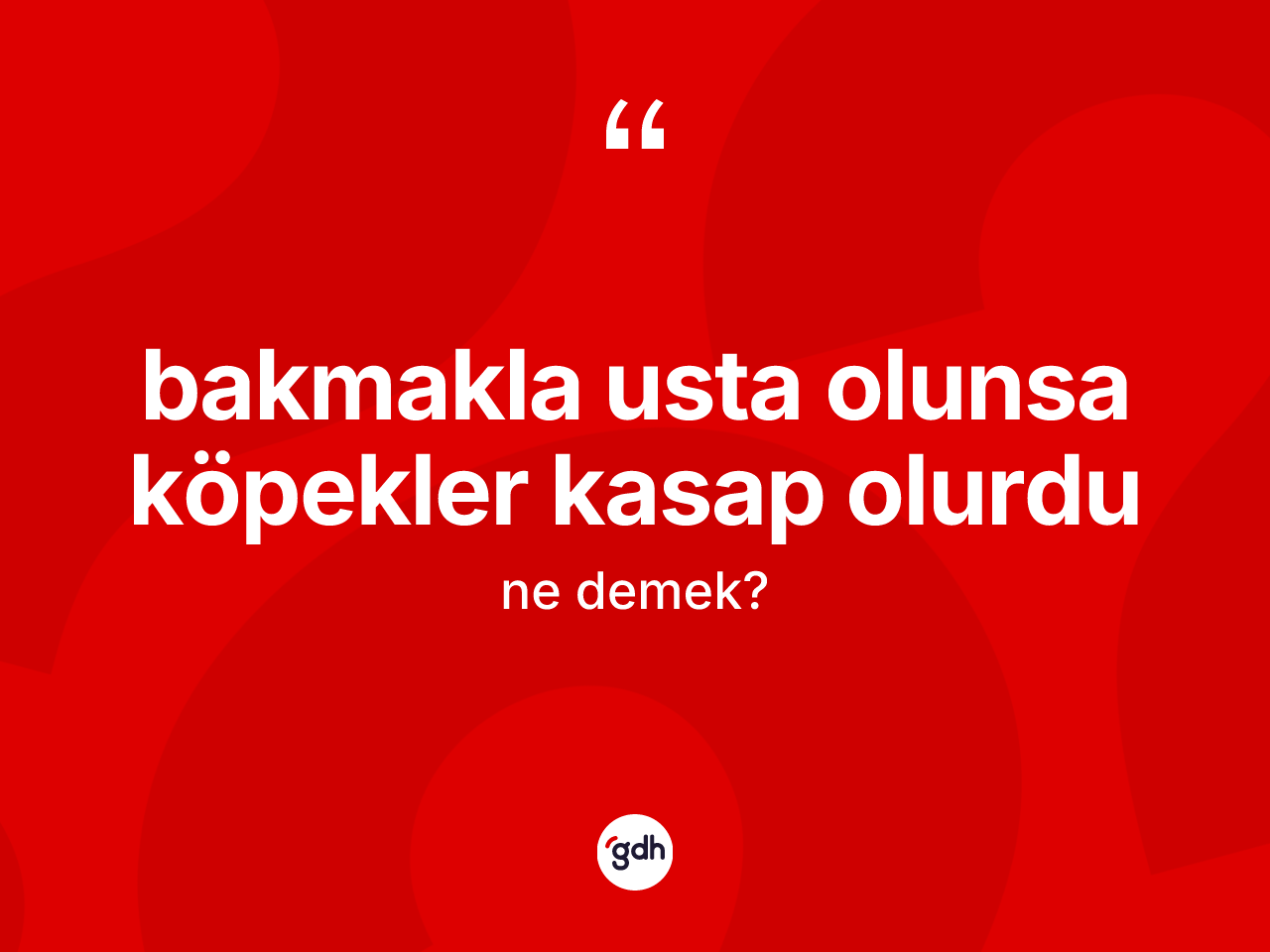 Bakmakla usta olunsa köpekler kasap olurdu ne anlama gelir? Bakmakla usta olunsa köpekler kasap olurdu ifadesinin TDK'ya göre açıklaması nedir?