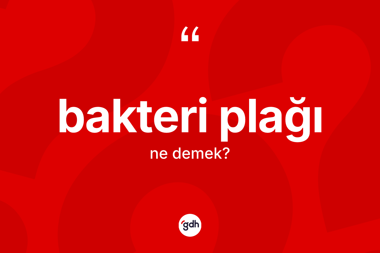 Bakteri plağı kelimesi nedir?