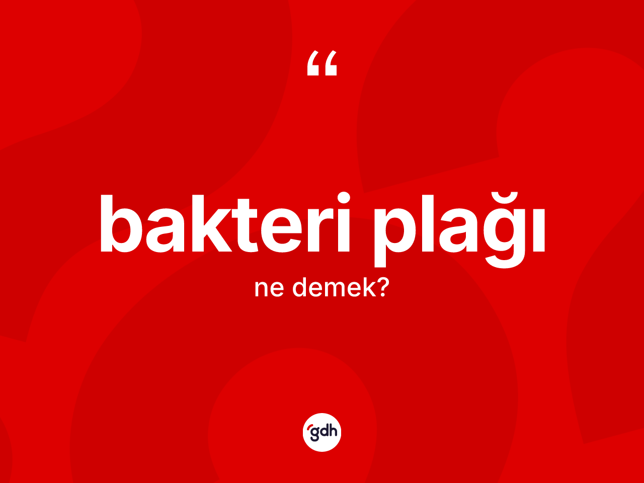 Bakteri plağı kelimesi nedir? Bakteri plağının kısaca tanımı nedir?