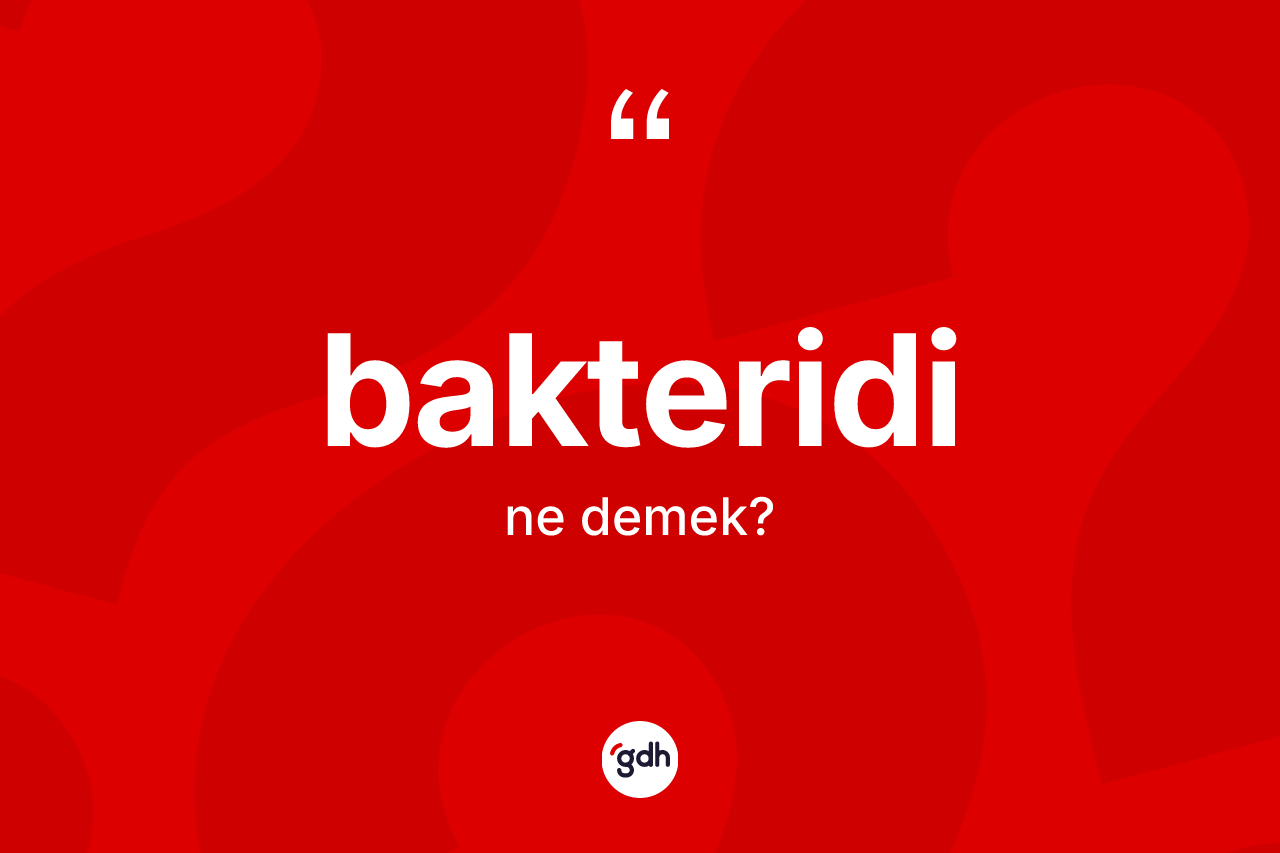 Bakteridi kelimesi ne demek? Bakteridinin TDK'ya göre anlamı nedir?