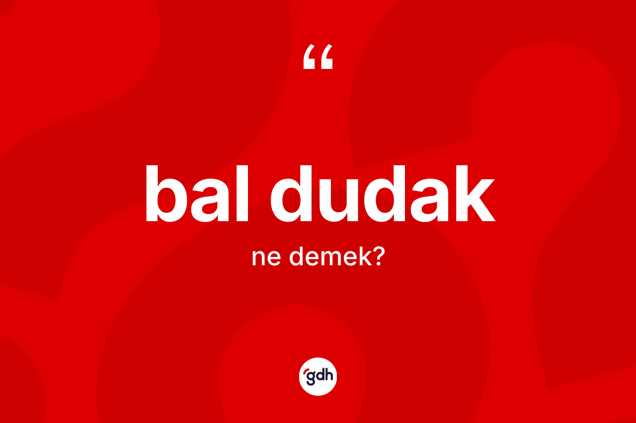 Bal dudak ne demek? Bal dudak kelimesinin TDK'ya göre açıklaması nedir?
