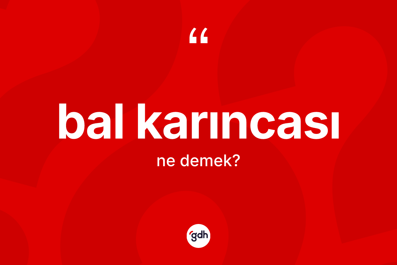 Bal karıncası kelimesinin sözlükteki tanımı nedir?