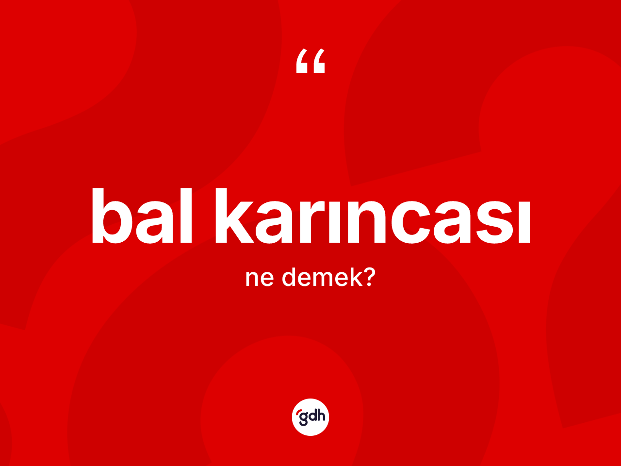 Bal karıncası kelimesinin sözlükteki tanımı nedir? Bal karıncasının TDK'ya göre anlamı nedir?