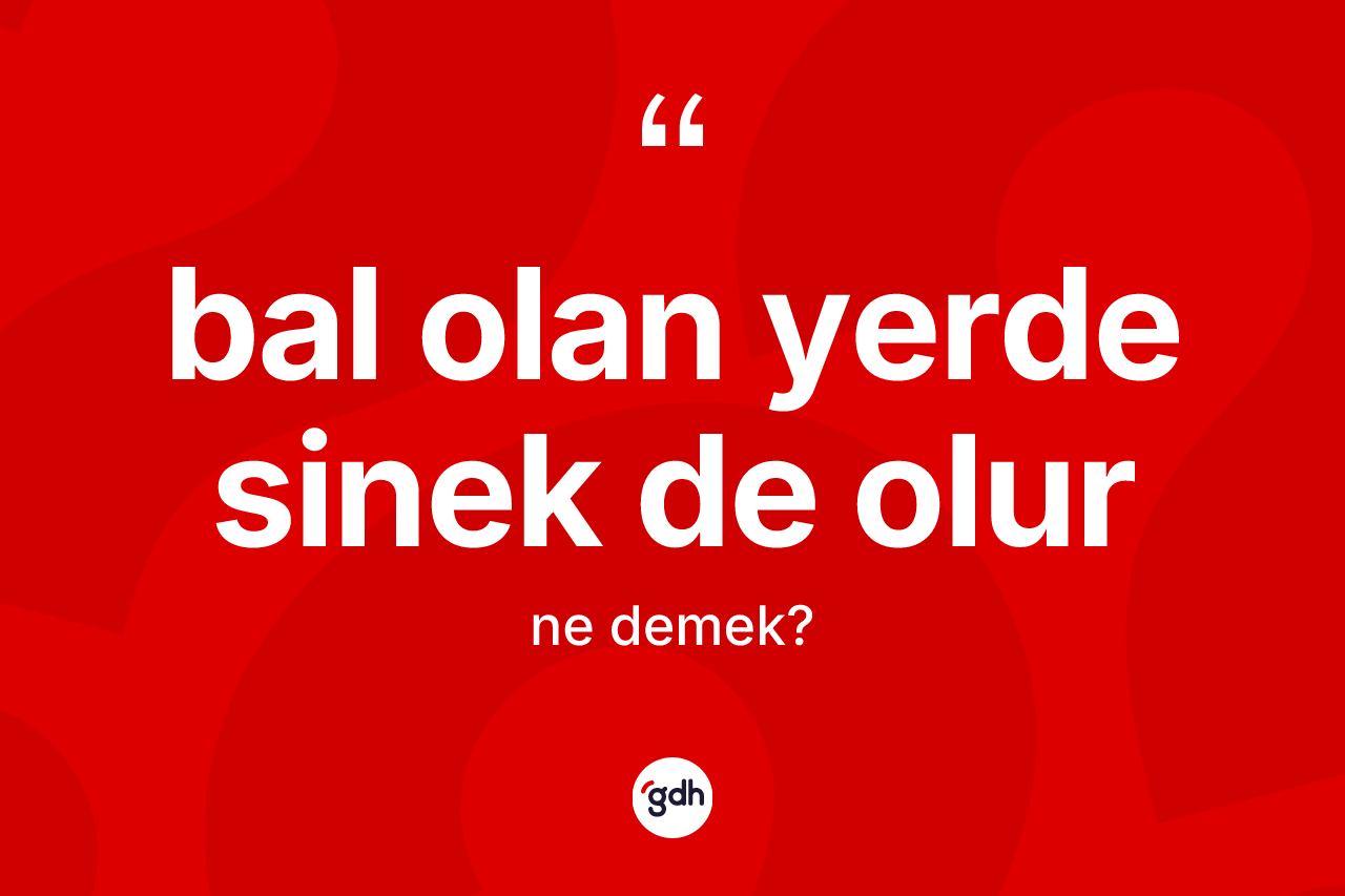 Bal olan yerde sinek de olur ne demek?