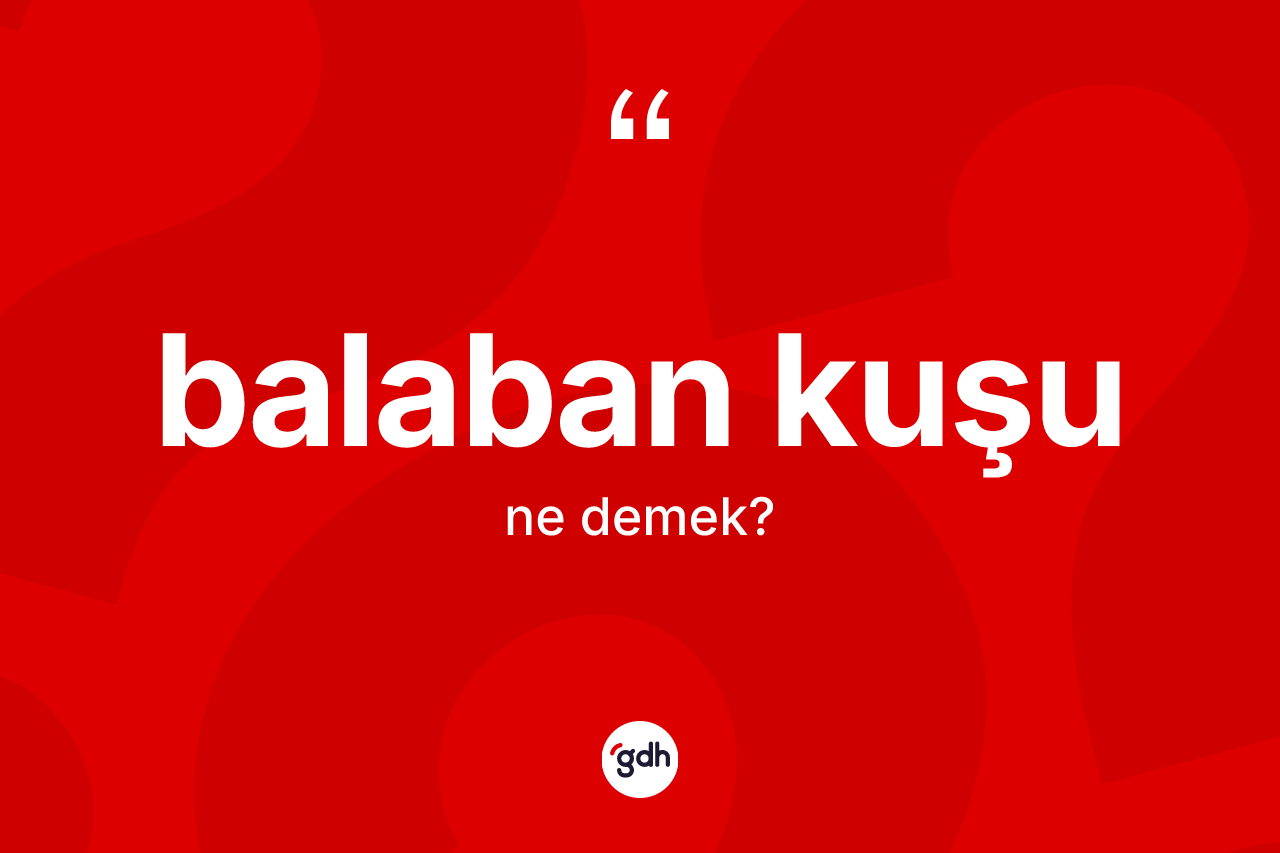 Balaban kuşu nedir?