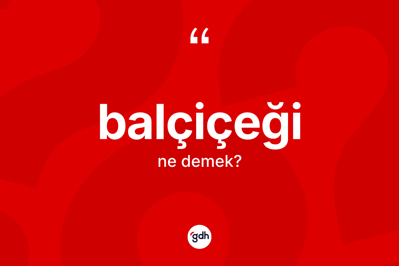 Balçiçeği nedir?