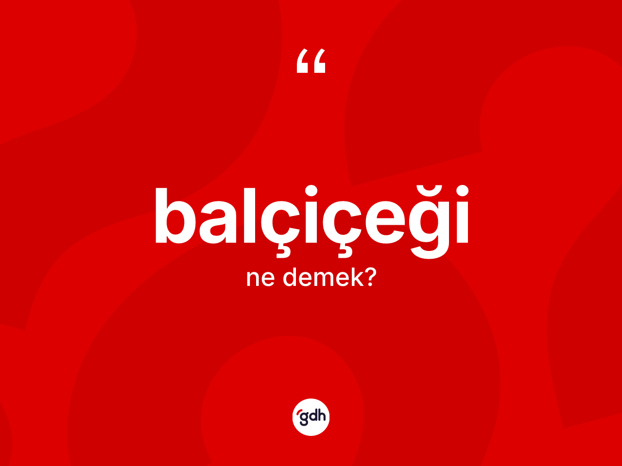 Balçiçeği nedir? Balçiçeğinin TDK'ya göre anlamı nedir?