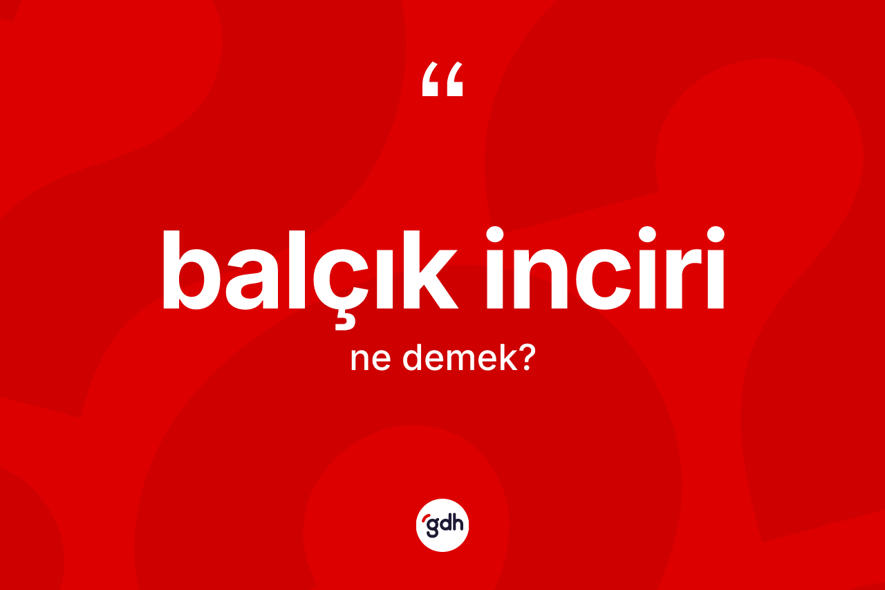 Balçık inciri kelimesi ne demek? Balçık incirinin TDK'ya göre anlamı nedir?