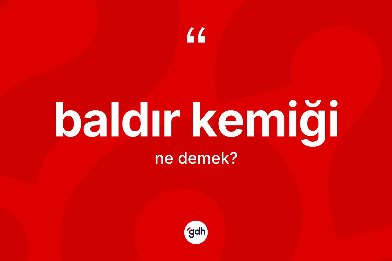 Baldır kemiği kelimesinin sözlükteki tanımı nedir? Baldır kemiği kelimesinin kaç farklı anlamı var?