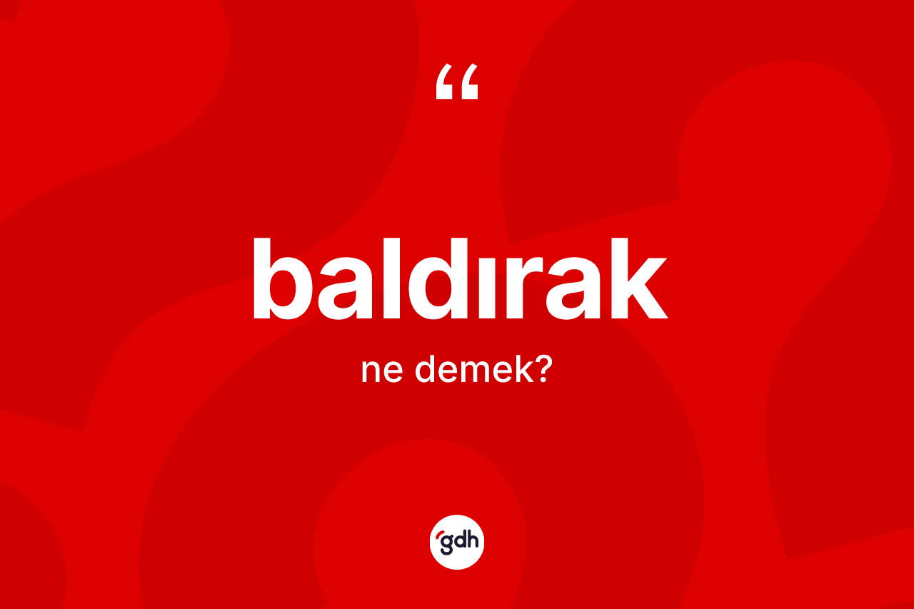 Baldırak kelimesinin sözlükteki tanımı nedir? Baldırak kelimesinin TDK'ya göre açıklaması nedir?
