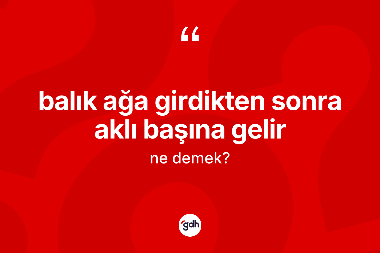 Balık ağa girdikten sonra aklı başına gelir ifadesinin kısaca anlamı nedir?