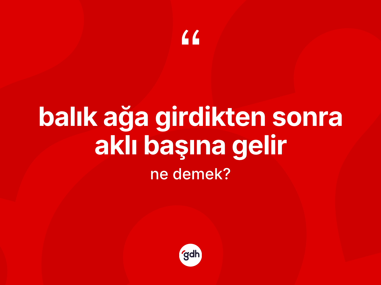 Balık ağa girdikten sonra aklı başına gelir ifadesinin kısaca anlamı nedir? Balık ağa girdikten sonra aklı başına gelir ifadesi nerede kullanılır?