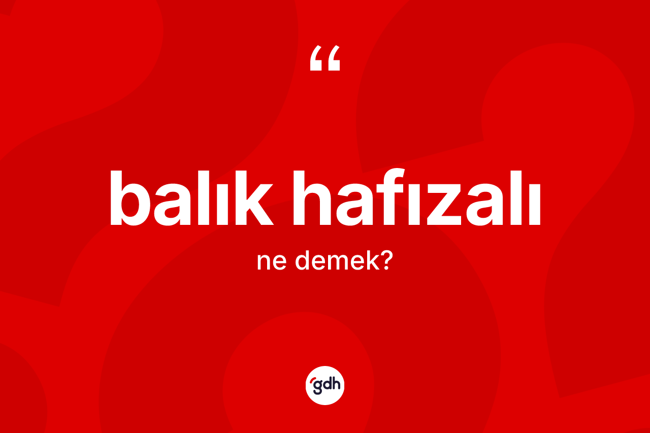 Balık hafızalı kelimesinin anlamı nedir? Balık hafızalının TDK'ya göre anlamı nedir?