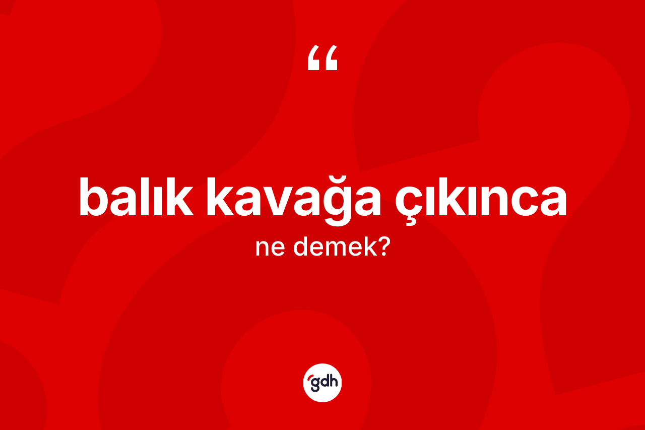 Balık kavağa çıkınca ifadesinin tanımı nedir? Balık kavağa çıkınca ifadesi hangi durumlarda kullanılır