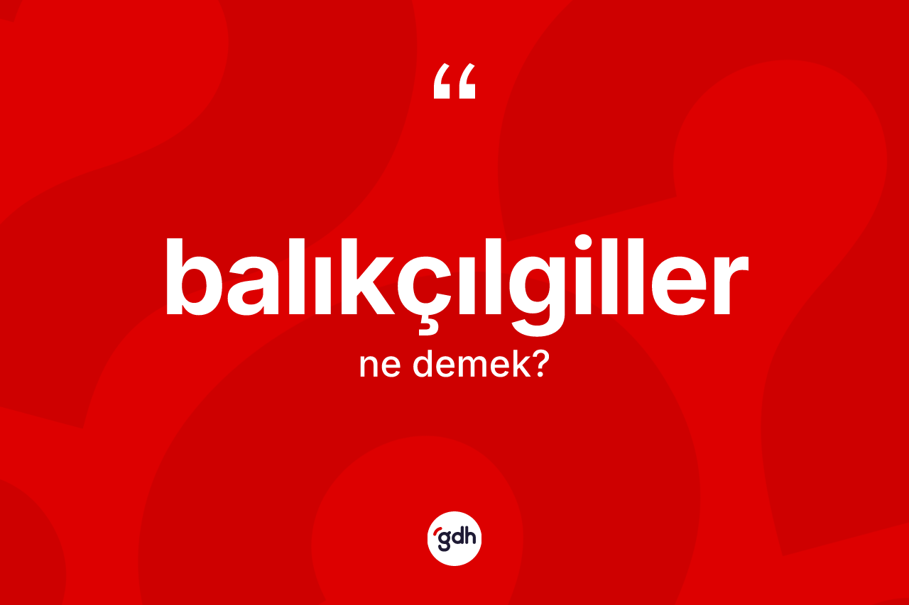 Balıkçılgiller kelimesinin sözlükteki tanımı nedir?