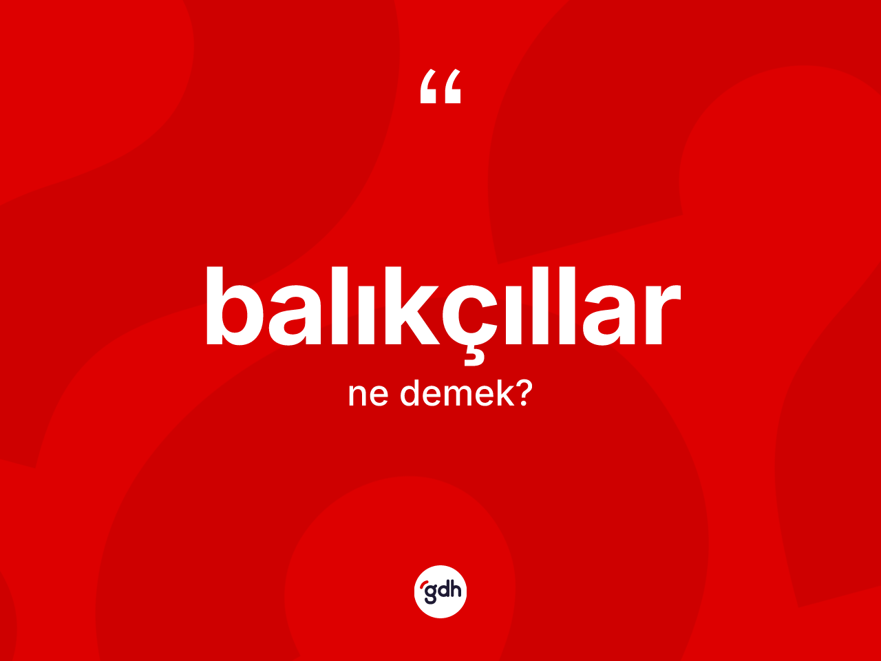 Balıkçıllar ne demek? Balıkçılların TDK'ya göre anlamı nedir?