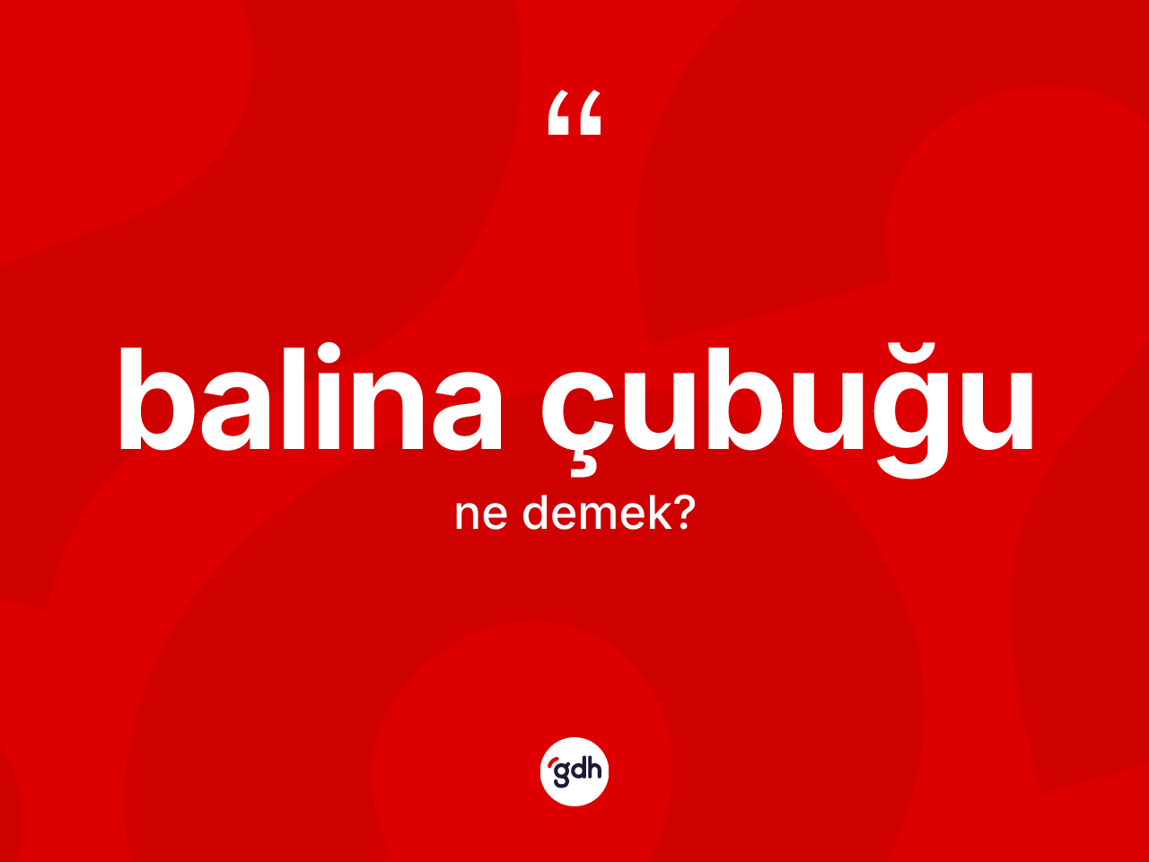 Balina çubuğu kelimesinin sözlükteki tanımı nedir? Balina çubuğunun sözlükteki anlamı nedir?